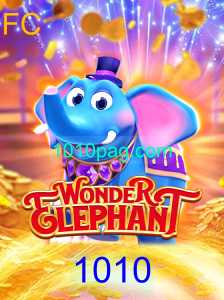 Descubra o Fascinante Mundo de WonderElephant
